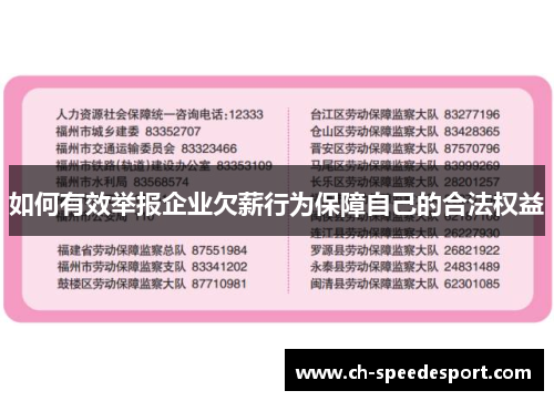 如何有效举报企业欠薪行为保障自己的合法权益